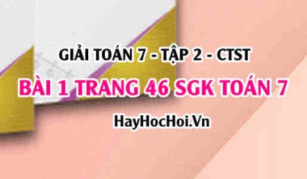 Giải bài 1 trang 46 Toán 7 tập 2 SGK Chân trời sáng tạo